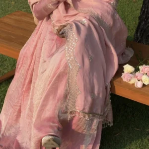 Anarkali Suit Image